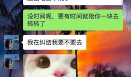 胖猫爆料视频大全,揭秘网络红人幕后故事